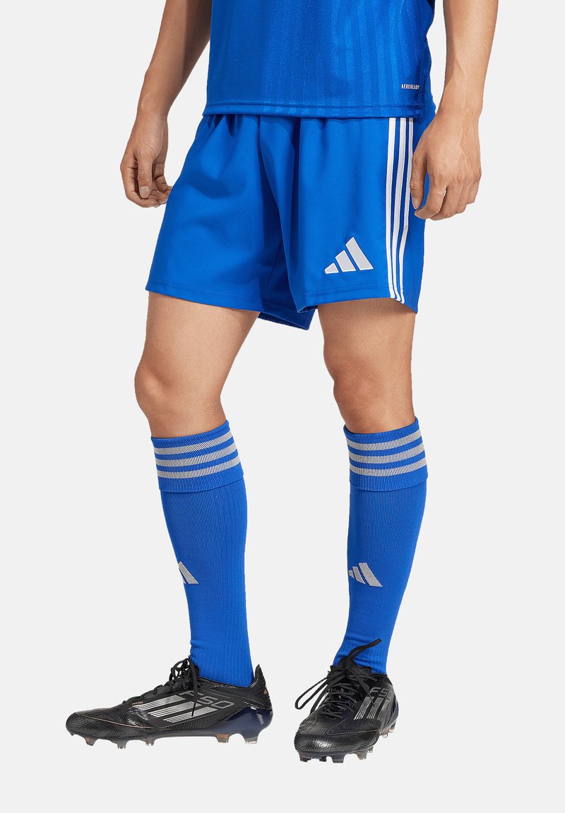 adidas Performance FUSSBALL - TEAM - TASTIGO - Kurze Sporthose - blau