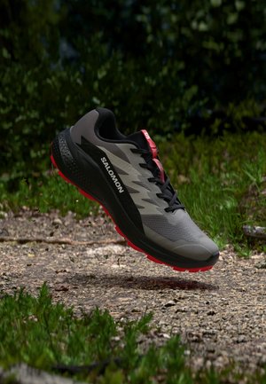 Salomon, ALPHAGLIDE, szary