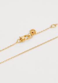 Collana color oro con chiusura a moschettone, caratterizzata da anelli ovali e una superficie liscia. Lunghezza regolabile con un anello per pendente circolare.