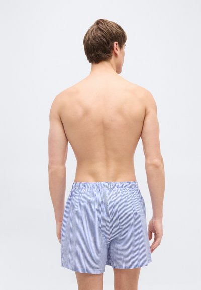 Νεαρός άνδρας εμφανίζεται από πίσω με μπλε και λευκά κάθετα ριγέ μποξεράκια, στέκεται μπροστά σε απλό ανοιχτό φόντο.