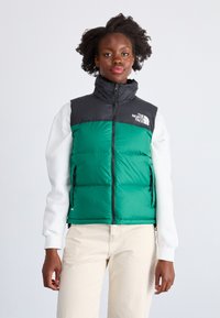 The North Face RETRO NUPTSE VEST - Liemenė - evergreen