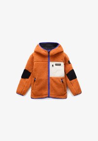 Selected, orange pumpkin