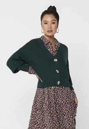 JUSTY L S SHORT NOOS - Chaqueta de punto - ponderosa pine