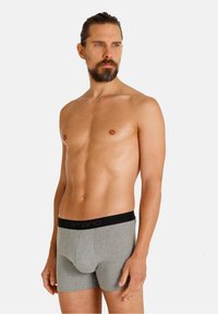 Szare bokserki z czarnym paskiem w talii, na którym widnieje logo "camano". Materiał wydaje się miękki, elastyczny i dopasowany. Model pozuje z boku.