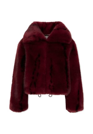 Just Cavalli, GIACCA INVERNALE - Winterjas - bordeaux