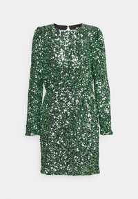 Neizvēlēts, loden frost