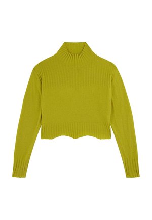 Maglione a collo alto corto di un vivace verde lime, tessuto a coste, con maniche lunghe, orlo ondulato e collo alto per un maggiore calore.