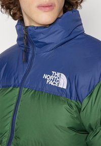 Gros plan sur une personne portant une doudoune bleue et verte avec un col montant et le logo The North Face sur la poitrine.