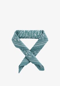 Odabrano, blue fish shoal lichen