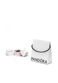 Biely papierový nákupný sáčok s čiernym lanovým uchom, s logom "PANDORA". Vedľa neho je malá biela a ružová šperková krabička, čiastočne otvorená.