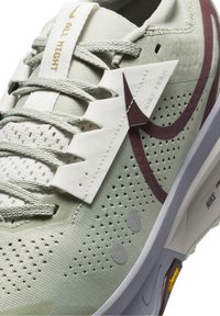 Gros plan sur une chaussure de course Nike Trail gris clair avec un swoosh bordeaux, des lacets texturés et le texte "ALL NIGHT" sur la languette.