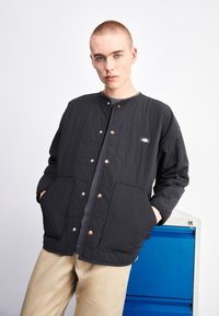 Dickies - THORSBY LINER JACKET UNISEX - Lehká bunda - black Miniatura obrázku 1