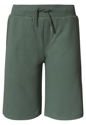 Shorts - blau/grün