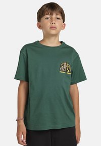 Element THE IN BETWEEN - T-shirt con stampa - green