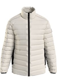 Giubbotto imbottito grigio chiaro con cuciture verticali, colletto alto, zip frontale nera e tasche laterali con zip nera, mostrato su uno sfondo bianco.