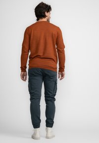 Pulover de culoare ruginiu, cu dungi, cu guler rotund, purtat împreună cu pantaloni cargo negri, cu manșete elastice și buzunare laterale. Se văd încălțăminte casual.
