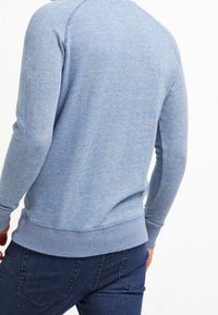 Light blue sweatshirt with a textured finish, ribbed cuffs, and hem. Features raglan sleeve design, viewed from the back.