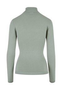Hellgrüner, langärmeliger, figurbetonter Rollkragenpullover mit geripptem Kragen, Bündchen und Saum, von hinten auf weißem Hintergrund gezeigt.