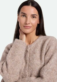 Beige, kuscheliger Pullover mit Rundhalsausschnitt und langen Ärmeln, ausgestattet mit weichem Material und minimalistischem Design, getragen von einem Model mit dunklem Haar.