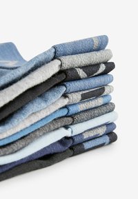Next 10 PACK STANDARD - Shorty - blue grey