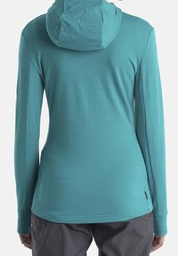 Maglia con maniche lunghe e cappuccio in teal. Tessuto morbido. Presenta un orlo curvo e una piccola etichetta con logo sul lato inferiore. Cuciture minime per una finitura liscia.