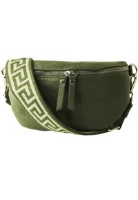 Groene leren schoudertas met ritssluiting, voorzien van een gestreepte stofband en twee ritszakken aan de voorkant.