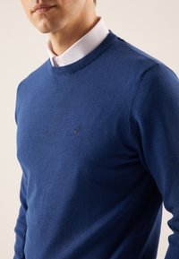 Man som bär en blå rundhalsad tröja över en vit skjorta med krage, avskuren vid nacken och övre torso.