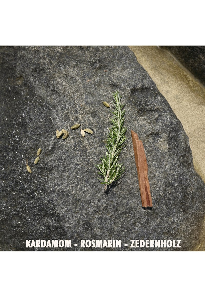 Green rosemary sprig, green and beige cardamom seeds, brown cedar wood fragment on a textured dark stone surface.