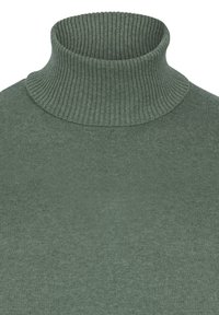Grüner Rollkragenpullover aus weichem Strickmaterial, mit ribbeltem Kragen und glatter Textur, ohne sichtbare Muster oder Beschläge.