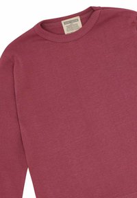 Maglietta a maniche lunghe di colore ruggine in cotone morbido. Presenta un collo rotondo e un sottile dettaglio di cucitura lungo il collo e l'orlo.