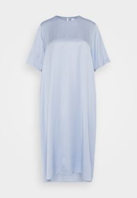 Nevybrané, blue heron