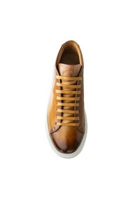 Finsbury MONTANTE MODENA - Baskets basses - marron