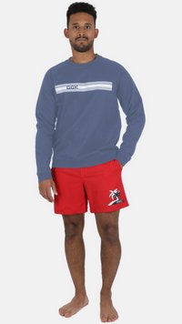Blå sweatshirt med vita horisontella ränder och "VIVID"-logotyp, tillsammans med röda badshorts med palmträdsgrafik. Inga skor.