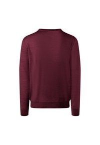 Vínová pletená svetr s dlouhými rukávy, žebrovanými manžetami a lemem. Hladký povrch a kulatý výstřih. Zobrazeno ze zadní strany.