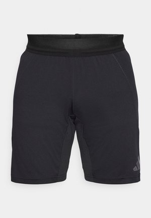 Svart treningsshorts laget av lett materiale, med en pustende mesh-linning, sidesømmer og en subtil logo nær sømmen.