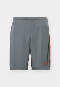SHORT - Športové šortky - iron grey/dragon red