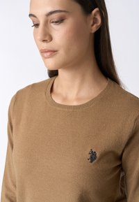 Maglione a maglia marrone con collo rotondo, caratterizzato da un logo ricamato discreto sul lato sinistro del petto. Tessuto morbido e design aderente.