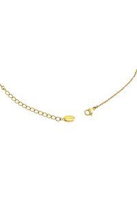 Collier en chaîne dorée avec des maillons ovales, fermoir à homard et étiquette de logo gravée. Texture lisse, finition brillante.