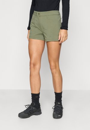 PUEZ SHORTS - Σορτς εξωτερικού χώρου - faded green