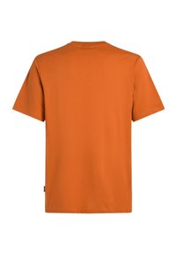 Lühikese varrukaga t-särk erksas oranžis. Valmistatud pehmest kangast, millel on sile tekstuur, klassikalise ringkaela ja sirge lõikega.