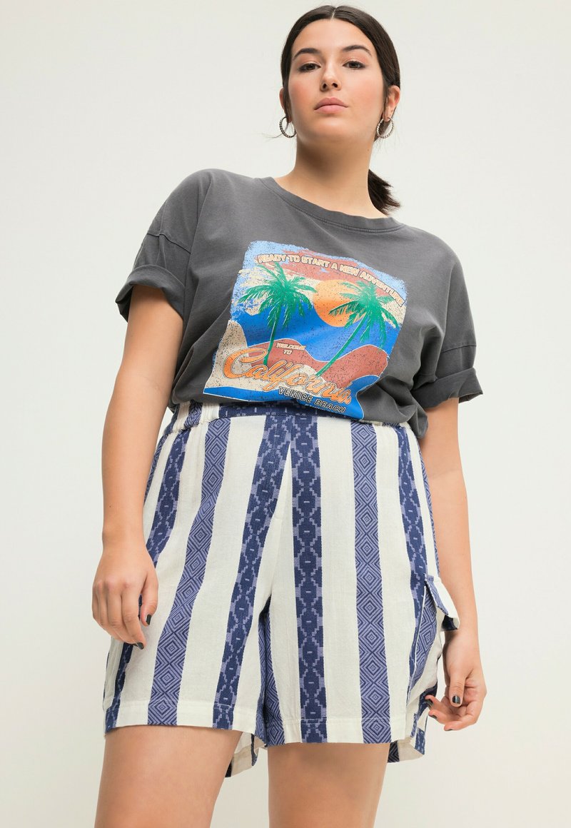 Šedé grafické tričko s designem palmy na modro-bílých pruhovaných šortkách s geometrickými vzory a kapsami, vyrobené z lehkého materiálu.
