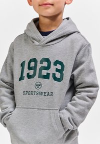 Grå hættetrøje med en frontlomme, der har store grønne tal "1923" og teksten "SPORTSWEAR". Blød tekstur og afslappet design.