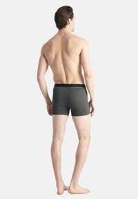 Graue Boxershorts aus Baumwolle mit einem schwarzen elastischen Bund, die eine glatte Textur und ein enganliegendes Design aufweisen, von hinten betrachtet.