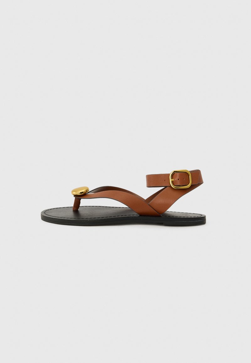 Sandal in pelle marrone con suola nera piatta, cinturini incrociati e un dettaglio in metallo color oro sulla punta. Include una cinghia regolabile alla caviglia.