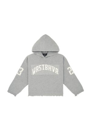 Gray cropped hoodie with a textured knit pattern, featuring a front logo "WRSTBHVR" and number "23" on the left sleeve; raw hem edges.