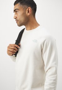 The North Face RAGLAN BOX CREW - Sweatshirt - white dune/muted pine