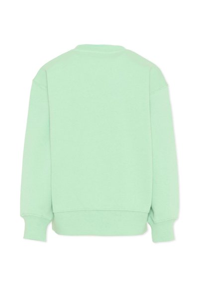 Sweatshirt vert clair à manches longues vu de dos avec poignets et ourlet côtelés, et un col rond simple.