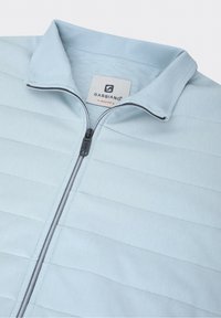 Giacca zip-up di colore azzurro chiaro con una superficie testurizzata e righe orizzontali. Presenta un colletto e un'etichetta GABBANO all'interno.
