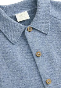 Polo shirt azzurro chiaro con texture, con colletto e due bottoni marroni, e un'etichetta con la scritta "NEXT baby."