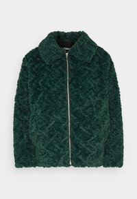 ONLCALI JACKET  - Veste d'hiver - scarab